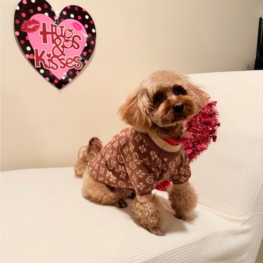 & Other Stories Brown Patterned Dog Sweater